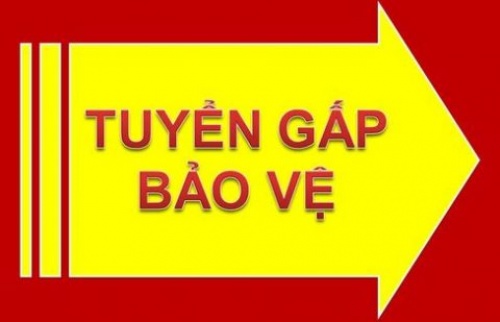VIỆC LÀM BẢO VỆ - BẢO VỆ NGÂN HÀNG LƯƠNG CAO