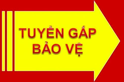 Việc Làm Bảo Vệ Không Cần Kinh Nghiệm – Nhận Việc Ngay Hôm Nay