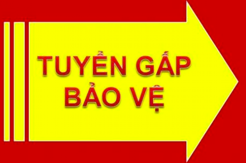 Việc Làm Bảo Vệ Không Cần Kinh Nghiệm – Nhận Việc Ngay Hôm Nay